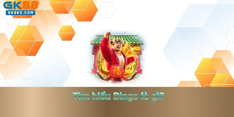 tim-hieu-bingo-la-gi
